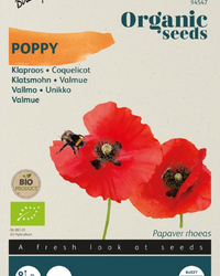 inspiratie-1
