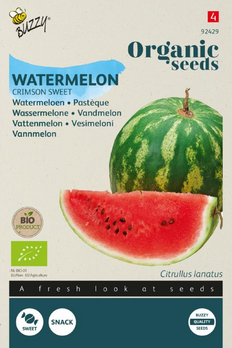 product front