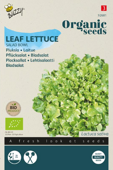 product front
