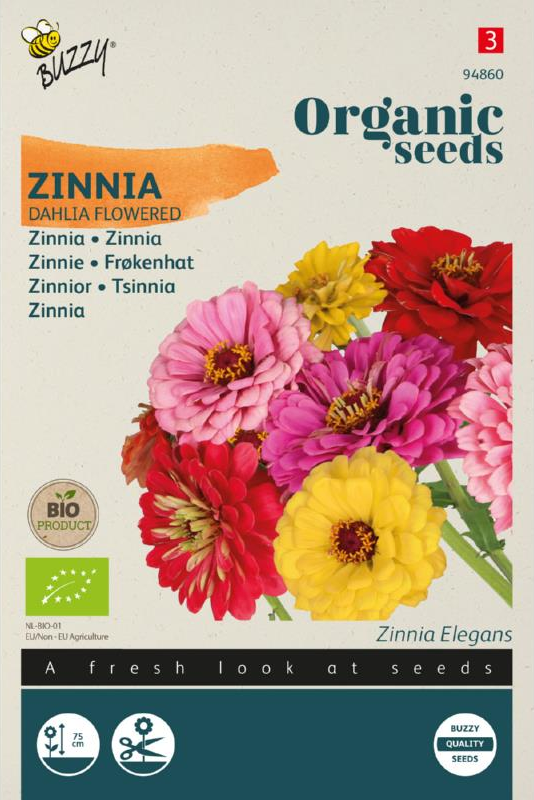 Zinnia dubbele Dahliabloemige mix zaden BIO