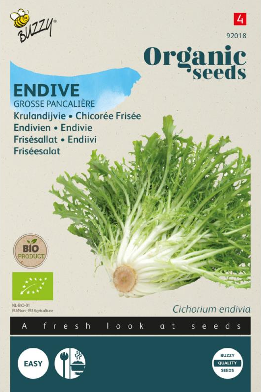 Krulandijvie Grosse Pancalière zaden BIO