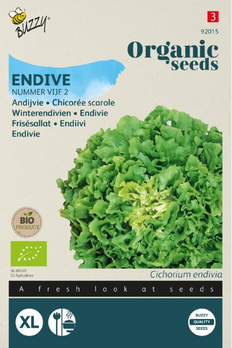 product front