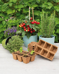 inspiratie-4