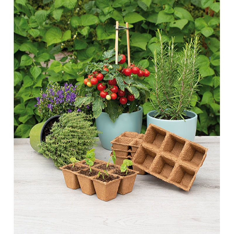 inspiratie