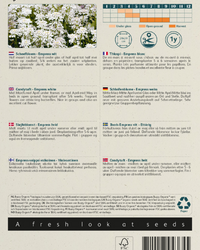 inspiratie-2