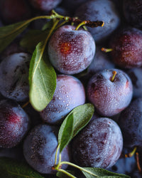 inspiratie-5