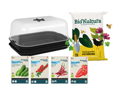 Starterskit Groenten Kweken - Paprika, Komkommer, Tomaat, Peper