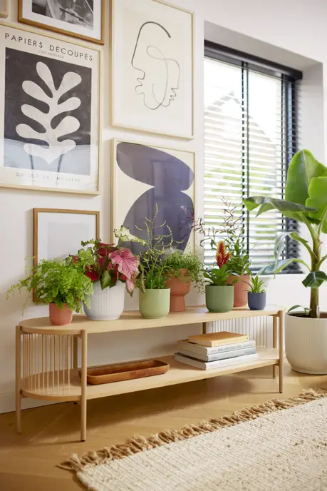 inspiratie
