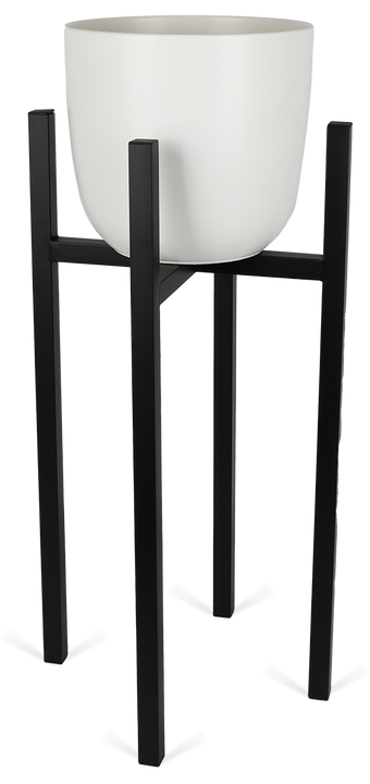 Ascot (34cm) Zwart & Boule (28cm) Wit