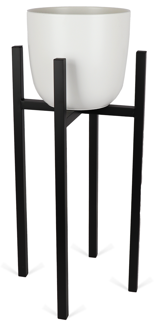Ascot (34cm) Zwart & Boule (28cm) Wit