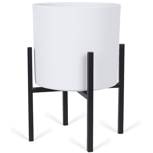 Ascot Zwart (24cm) & Era (23cm) Wit