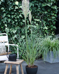inspiratie-3