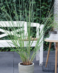 inspiratie-2