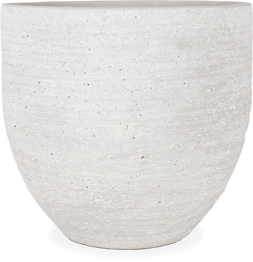 Cas (29cm)