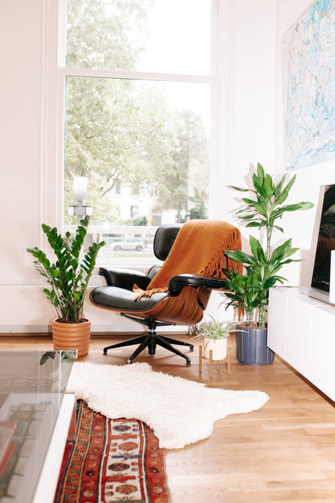 inspiratie