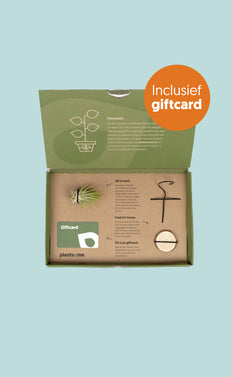 Giftbox