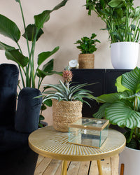 inspiratie-3