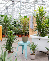inspiratie-4