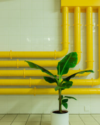 inspiratie-1