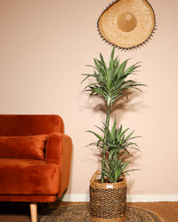inspiratie-1