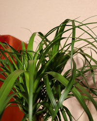 inspiratie-2