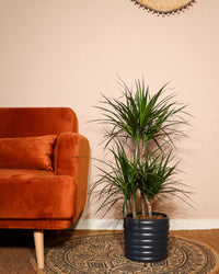 inspiratie-1