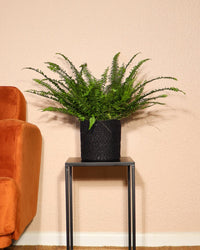 inspiratie-1