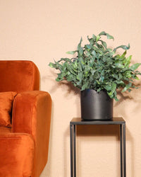 inspiratie-1