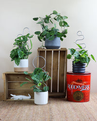 inspiratie-2