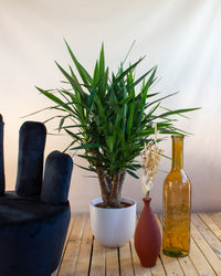inspiratie-1