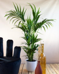 inspiratie-4