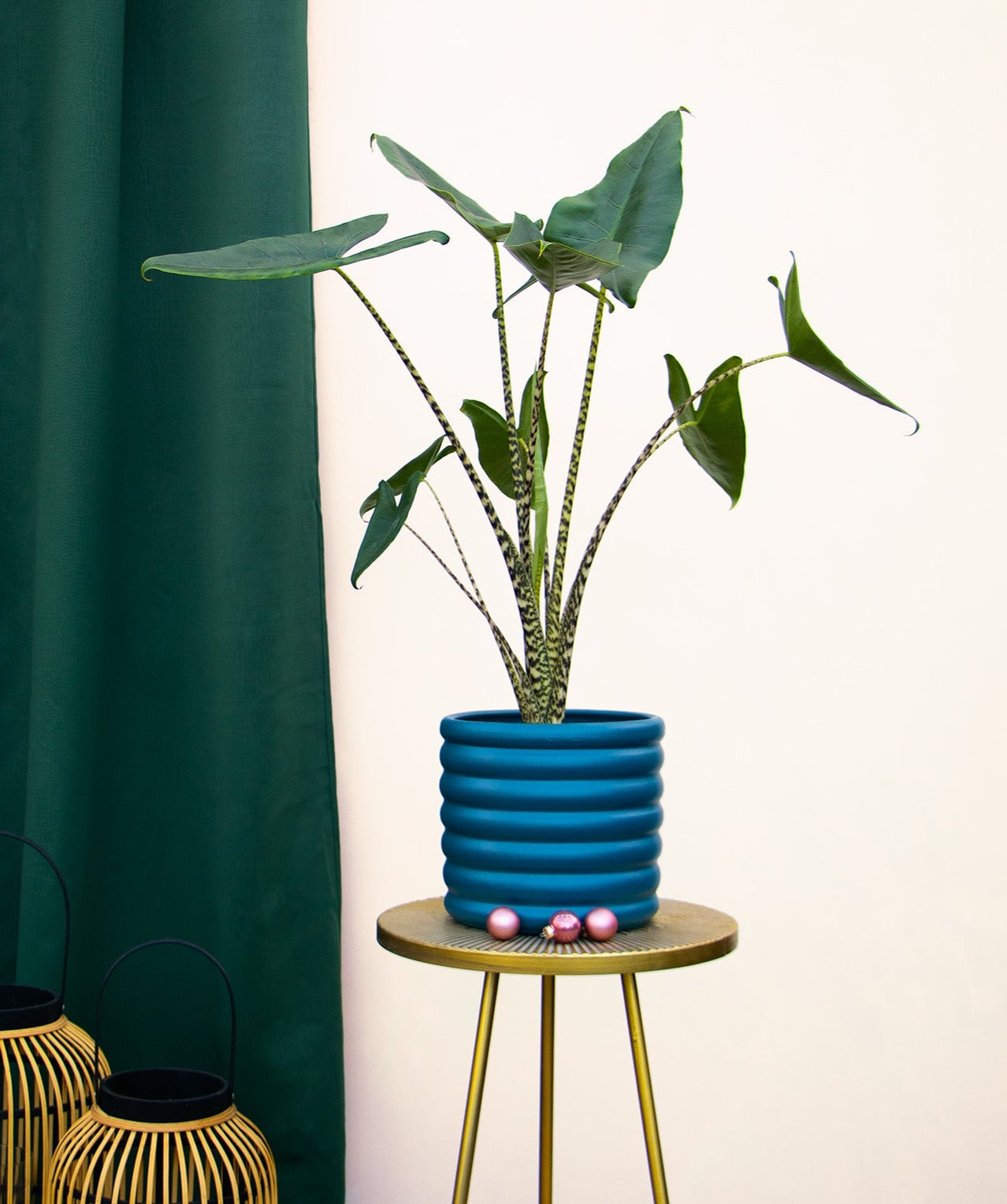 inspiratie