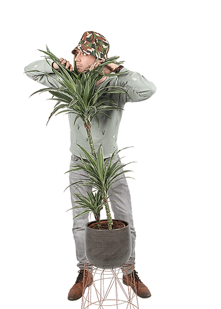 Plantenliefhebber