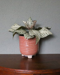 inspiratie-3