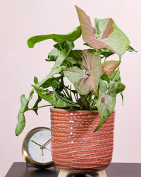 inspiratie-1