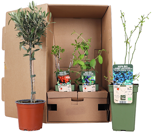 Voordeelbox Tuinplezier - Klein (4x)