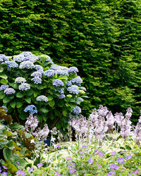 inspiratie-3