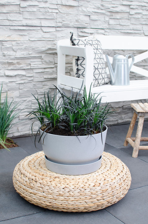 inspiratie