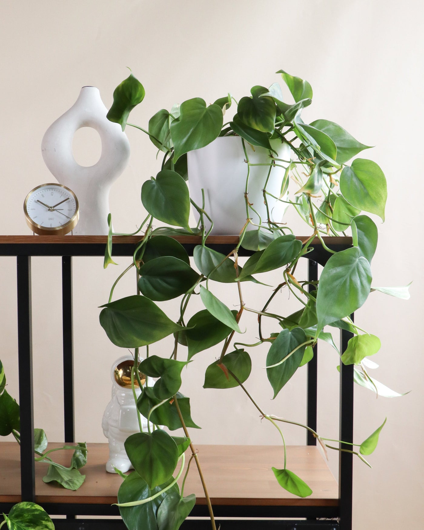 inspiratie