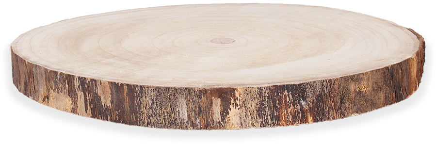 Boomschijf (30cm)