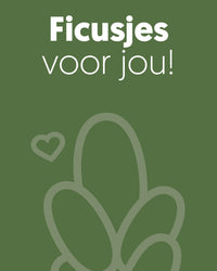 inspiratie-4