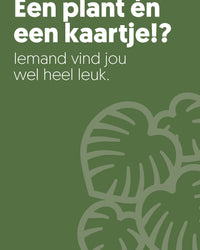inspiratie-1
