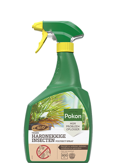 Tegen Hardnekkige Insecten Spray (800 ml) - Pokon Bio