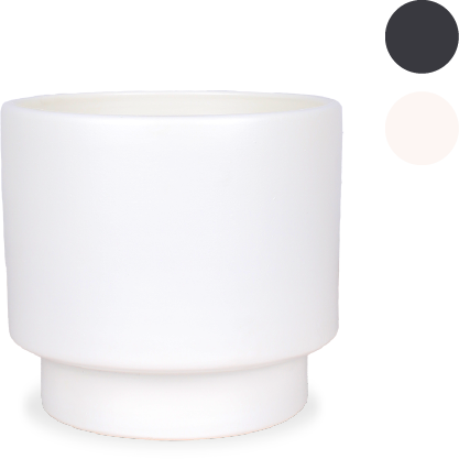 Amazing Aglaonema's - Basic potten