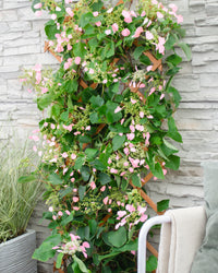 inspiratie-2