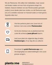 inspiratie-1