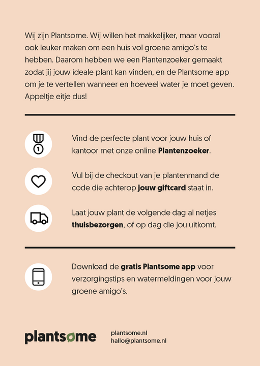 inspiratie