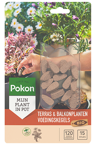 Terras & balkonplanten voedingskegels (15 stuks) BIO - Pokon