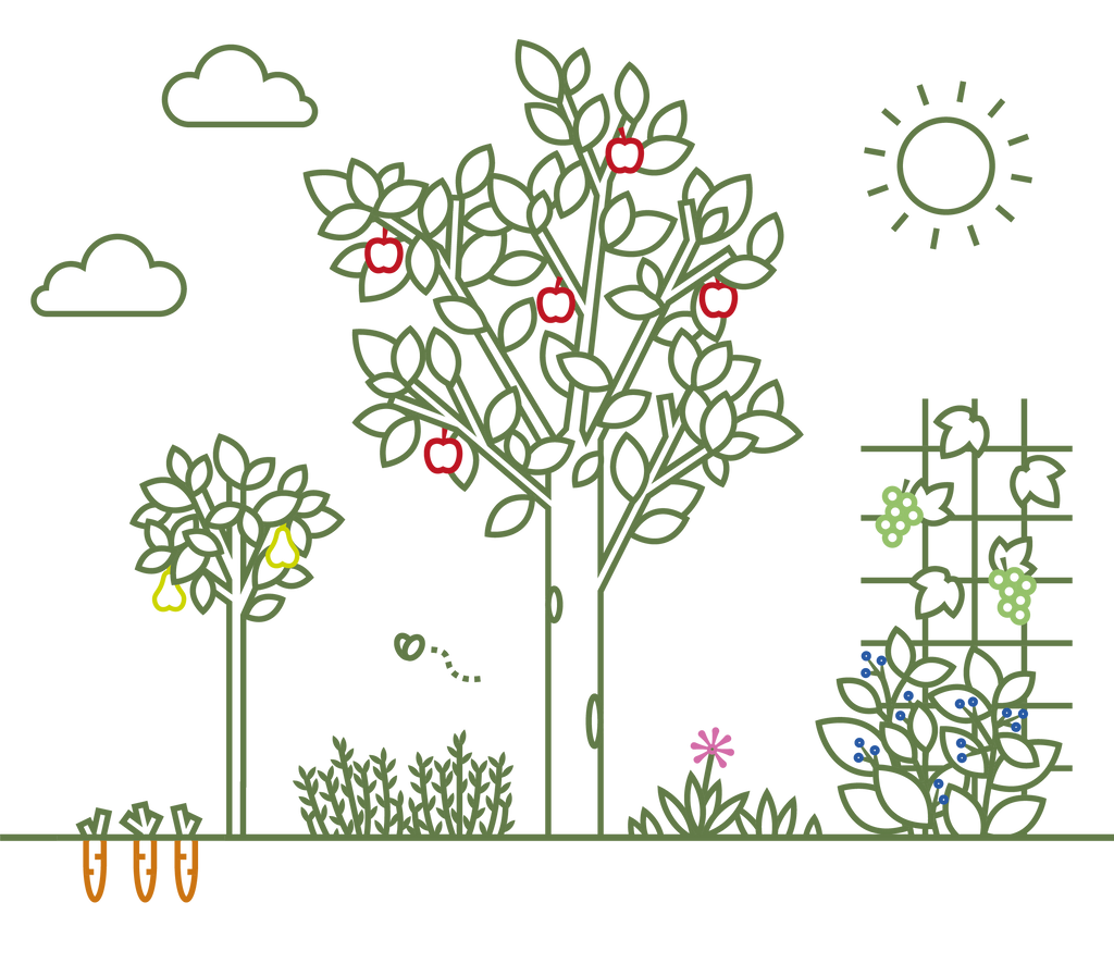 Voedselbos illustratie