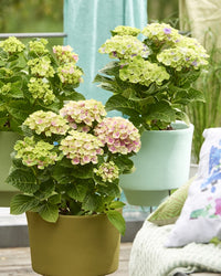inspiratie-1